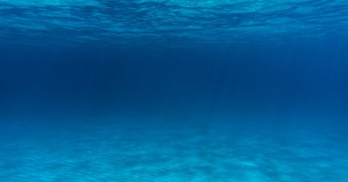 Cabo submarino da Meta no Brasil será ampliado, anuncia empresa