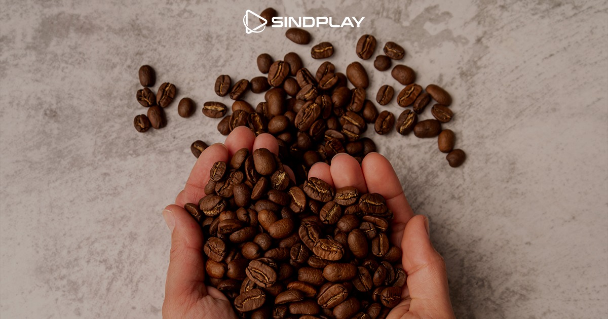 Sindplay lança curso científico sobre cafeína para profissionais de TI