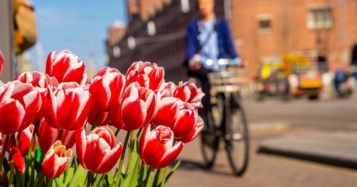 Semana de 4 dias se consolida na Holanda, que vira exemplo