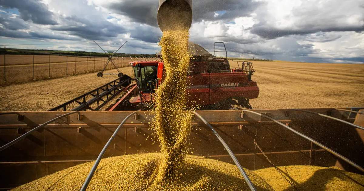 Tecnologia turbina produção agrícola e MT bate recorde histórico