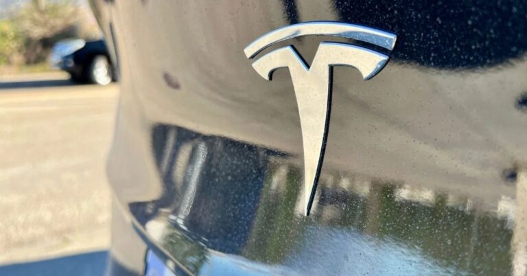 tesla-esbarra-tarifas-vendas-fracas-india