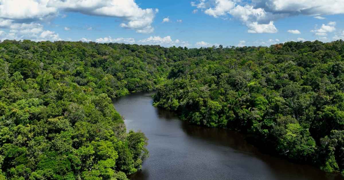 Governo colombiano vai instalar rede de fibra óptica na Amazônia