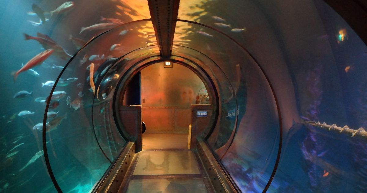 China constrói maior túnel subaquático para trens de alta velocidade do mundo