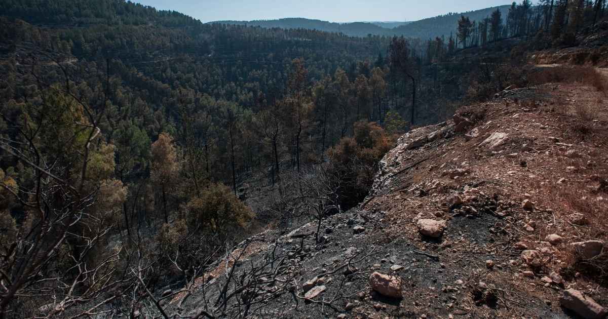 nova-tecnica-desenvolvida-brasileiros-previsao-deslizamentos
