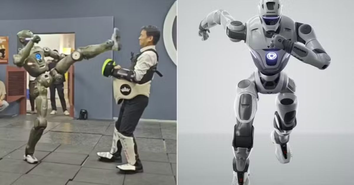 video-robo-chines-lutador-viraliza-apos-chutar-chefe