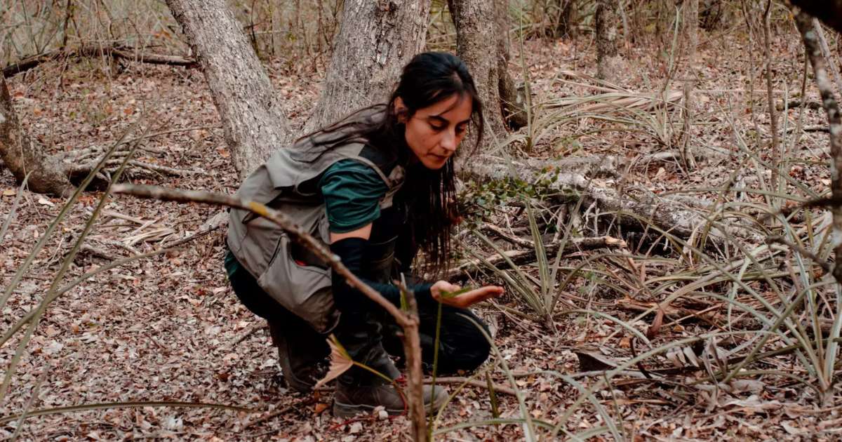 Pesquisadora do MS vence Prêmio Mulheres e Ciência do CNPq