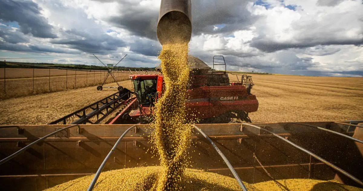 Ciência e tecnologia ampliam eficiência das lavouras em Mato Grosso
