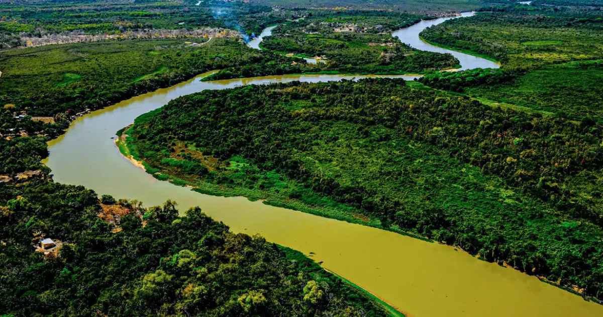 Tecnologia com DNA do Pantanal: Startup cria bioinsumo adaptado ao clima da região