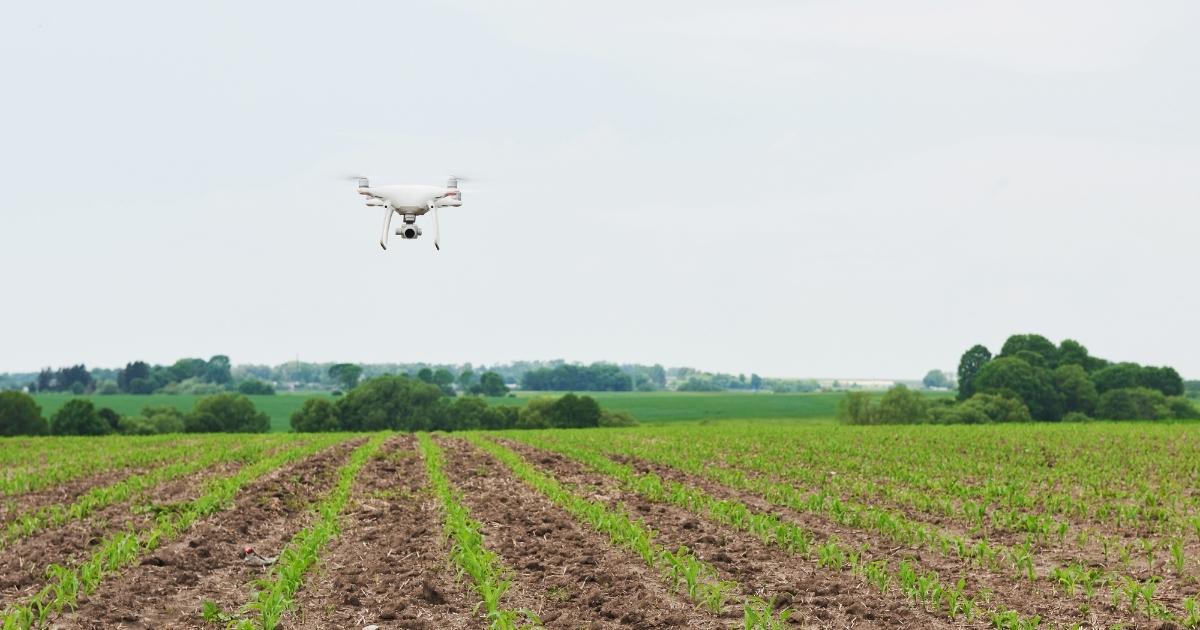 drones-com-ia-recuperacao-ambiental-maranhao