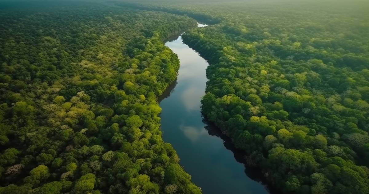 Amazônia deverá abrigar maior complexo de energia do Brasil