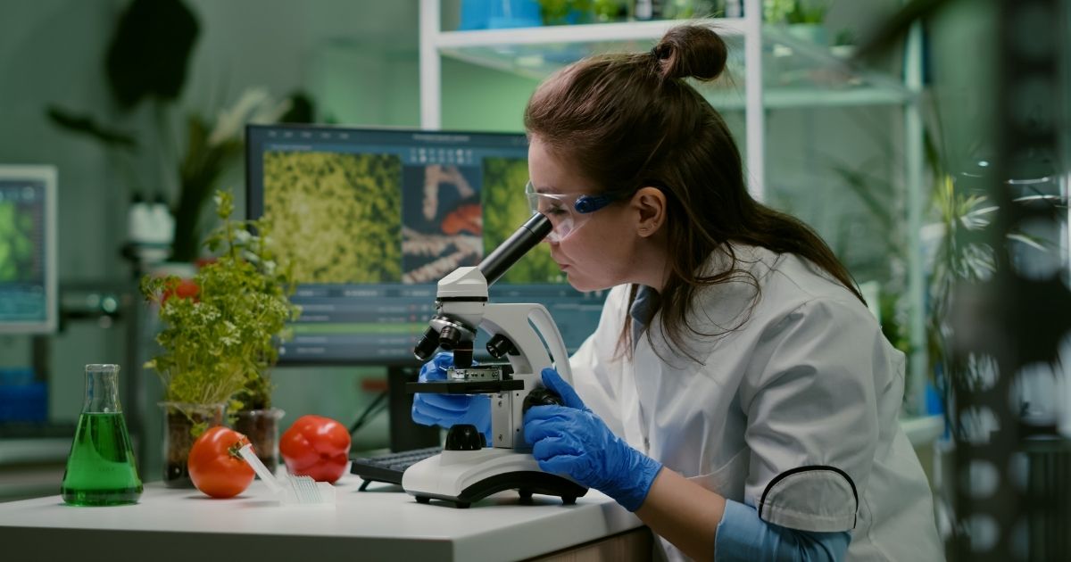 nanotecnologia-seguranca-alimentos-adaptacao-agro