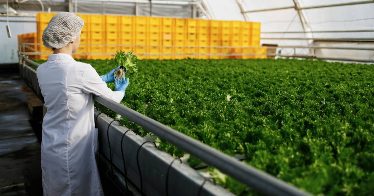 Paraná e Portugal firmam parceria para pesquisa em tecnologia para produção de alimentos