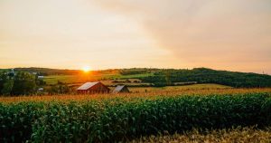Agricultor barra projeto de data center de IA ao preservar terras agrícolas para sempre
