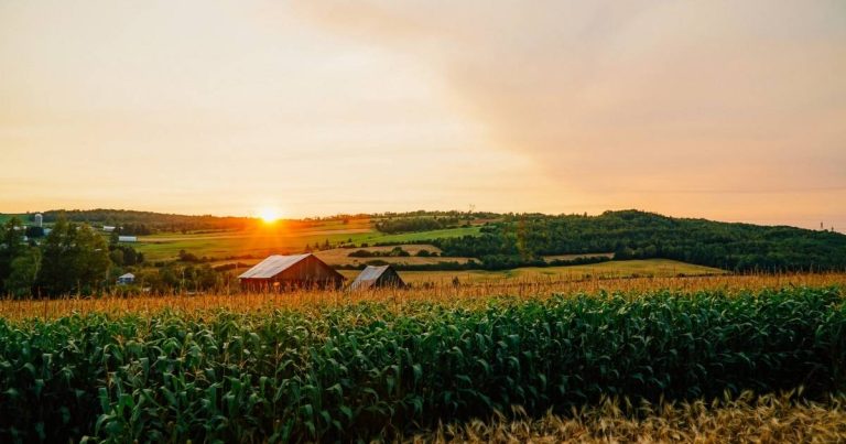agricultor-projeto-data-center-ia-terras-agricolas