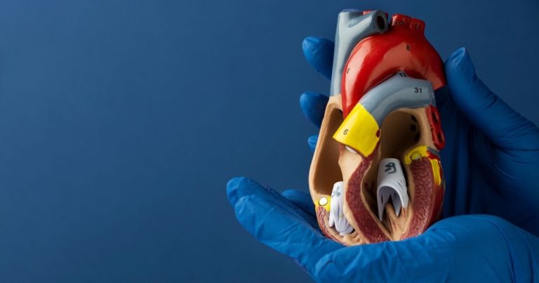 Hospital do Paraná realiza primeiro transplante de válvula cardíaca pulmonar
