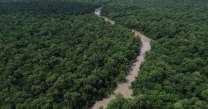Brasil reforça combate ao garimpo ilegal na Amazônia com tecnologia forense