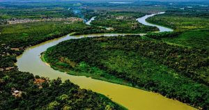 MS amplia monitoramento de incêndios no Pantanal com uso de inteligência artificial